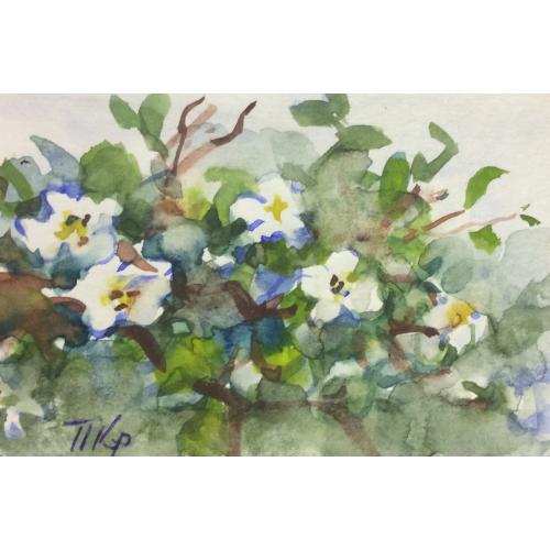 Крылов П. Н. Открытка. Цветущая яблоня