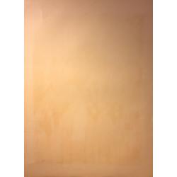 Ведерников А. С. Оранжерея