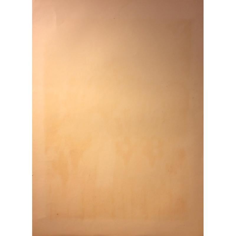 Ведерников А. С. Оранжерея