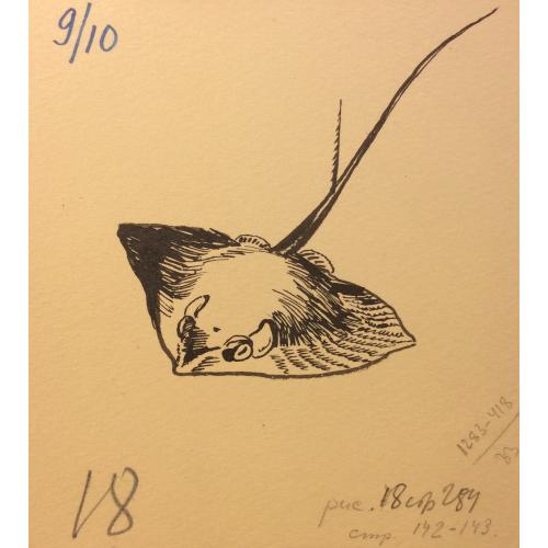 Мешков Е. А. Иллюстрация к серии книг Мир приключений (Альманах) Скат