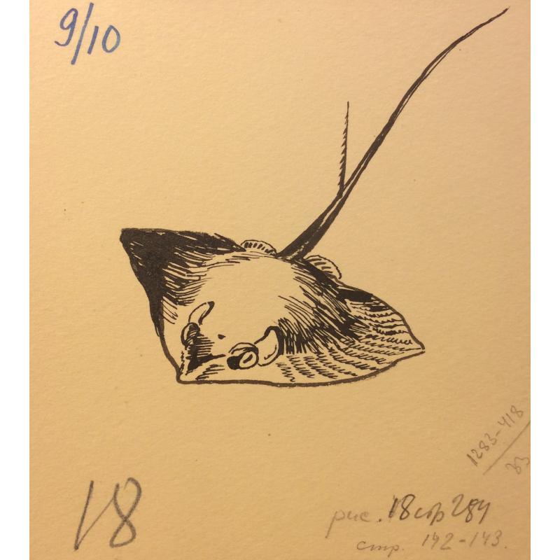 Мешков Е. А. Иллюстрация к серии книг Мир приключений (Альманах) Скат