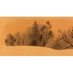 Мешков Е. А. Иллюстрация к книге С. Романовского Сон лисы