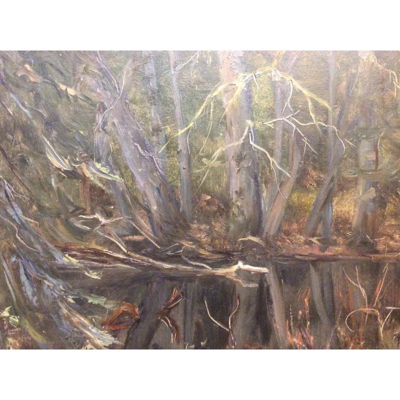 Кибардин Г. В. Водоем в лесу