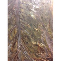 Кибардин Г. В. Водоем в лесу