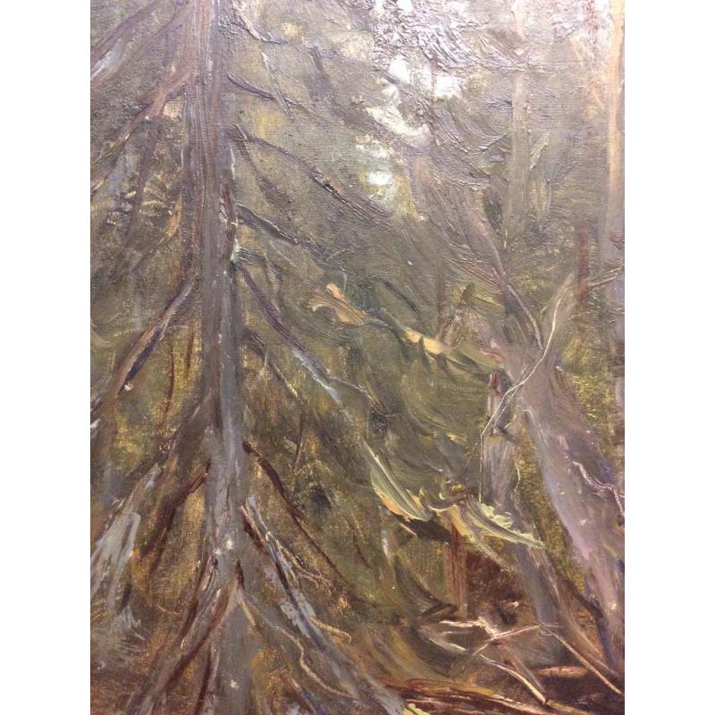 Кибардин Г. В. Водоем в лесу