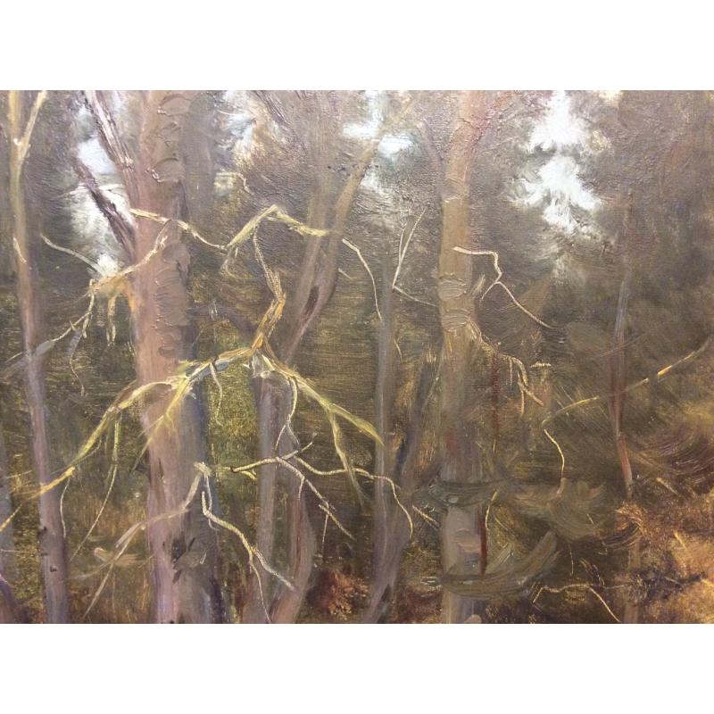 Кибардин Г. В. Водоем в лесу