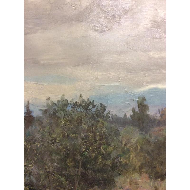 Кибардин Г. В. Пейзаж