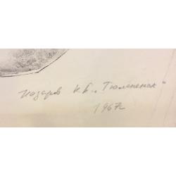 Назаров К.Б. Тюленёнок