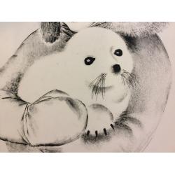 Назаров К.Б. Тюленёнок