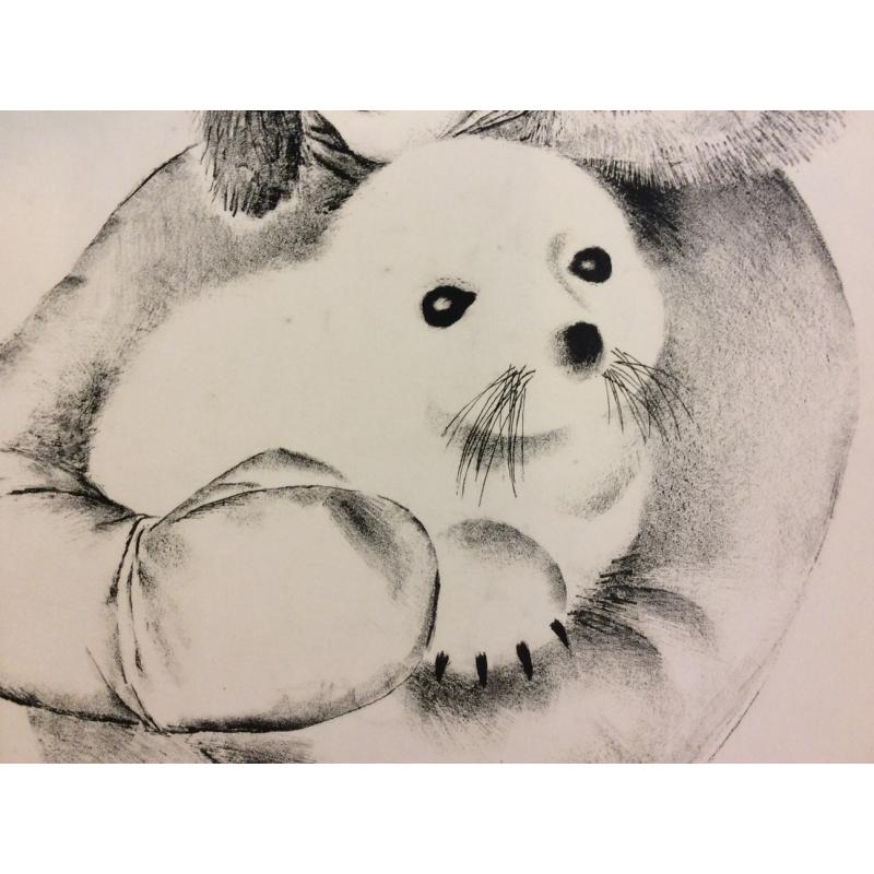 Назаров К.Б. Тюленёнок