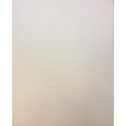 Назаров К.Б. Тюленёнок