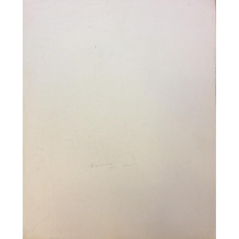 Назаров К.Б. Тюленёнок