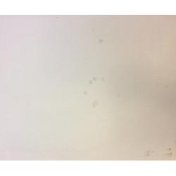 Назаров К.Б. Тишина