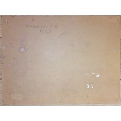 Каманин С.М. Строительство ГЭС