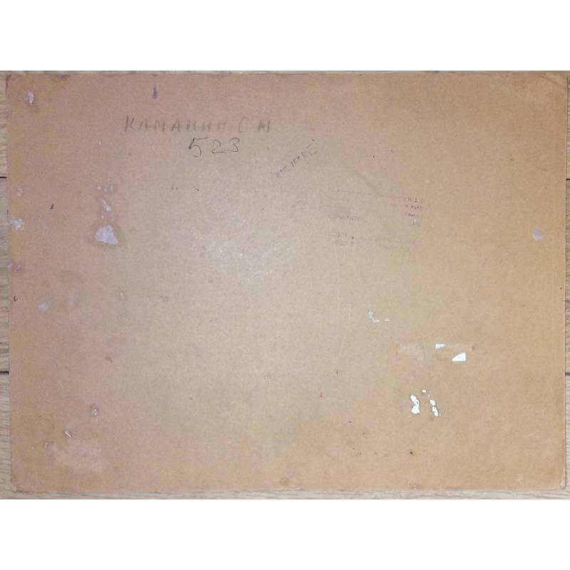 Каманин С.М. Строительство ГЭС