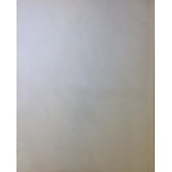 Родионова Е. В. За власть советов! из серии плакатов Славные дочери Отчизны