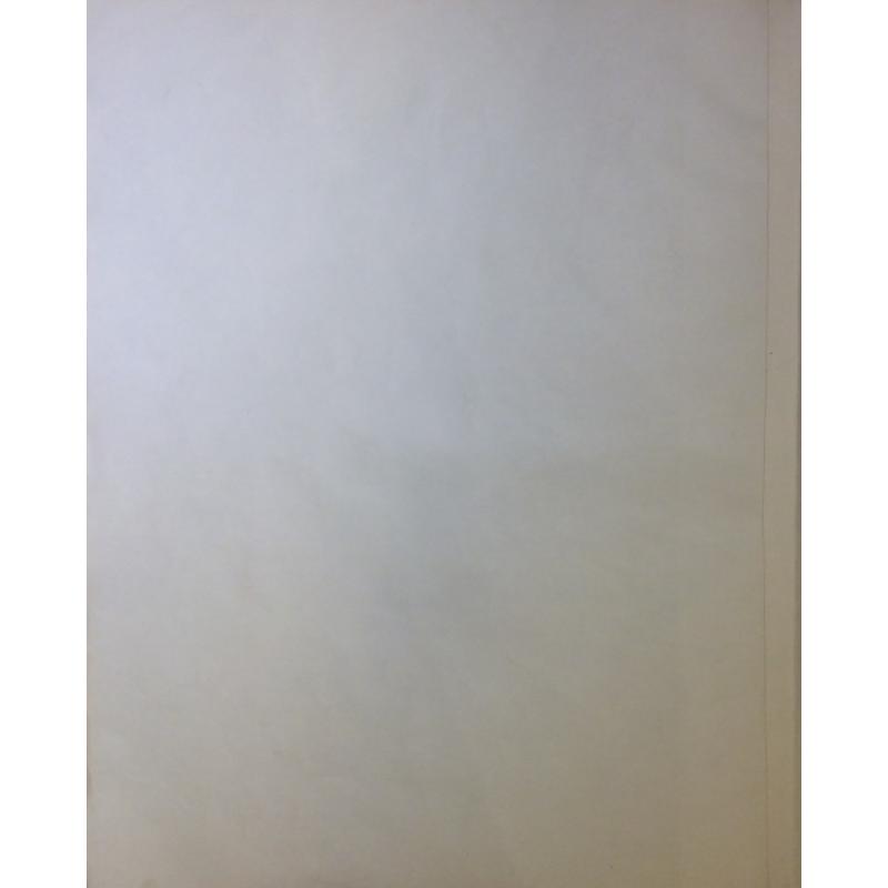 Родионова Е. В. За власть советов! из серии плакатов Славные дочери Отчизны