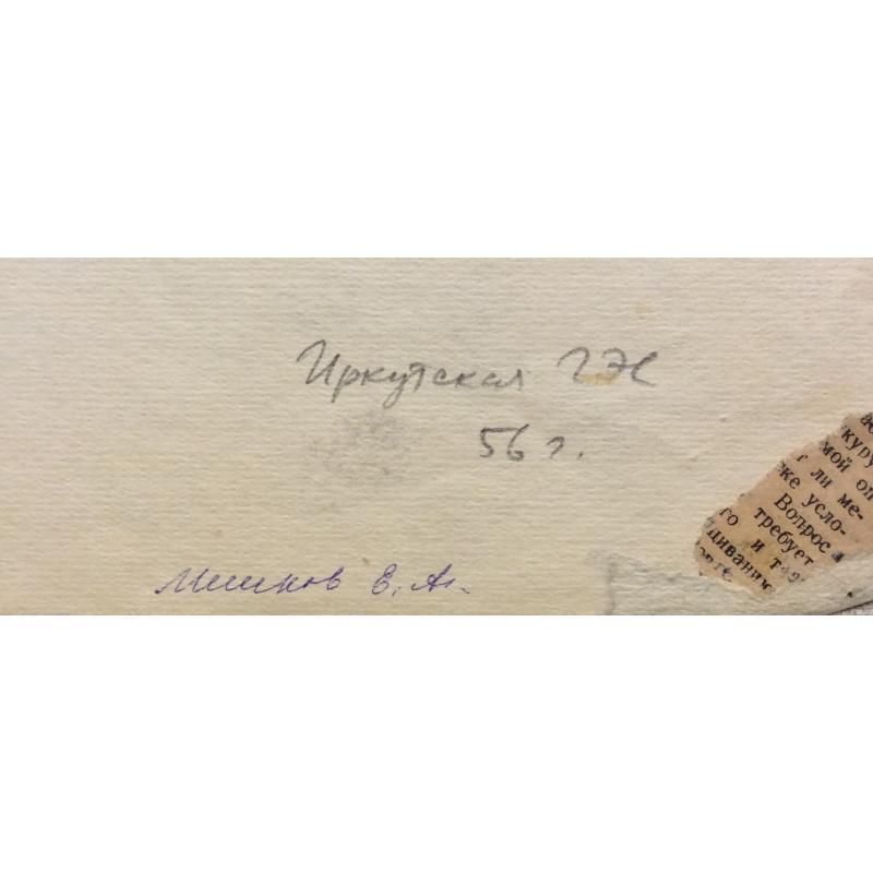 Мешков Е.А. Серия Иркутская ГЭС
