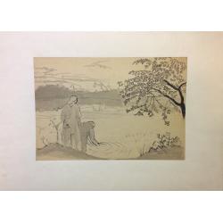 Костенко К. Е. Шалово. Озеро