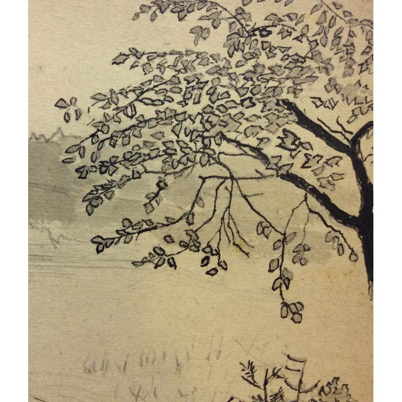 Костенко К. Е. Шалово. Озеро