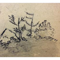 Костенко К. Е. Шалово. Озеро