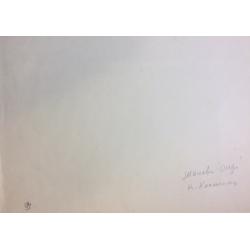 Костенко К. Е. Шалово. Озеро