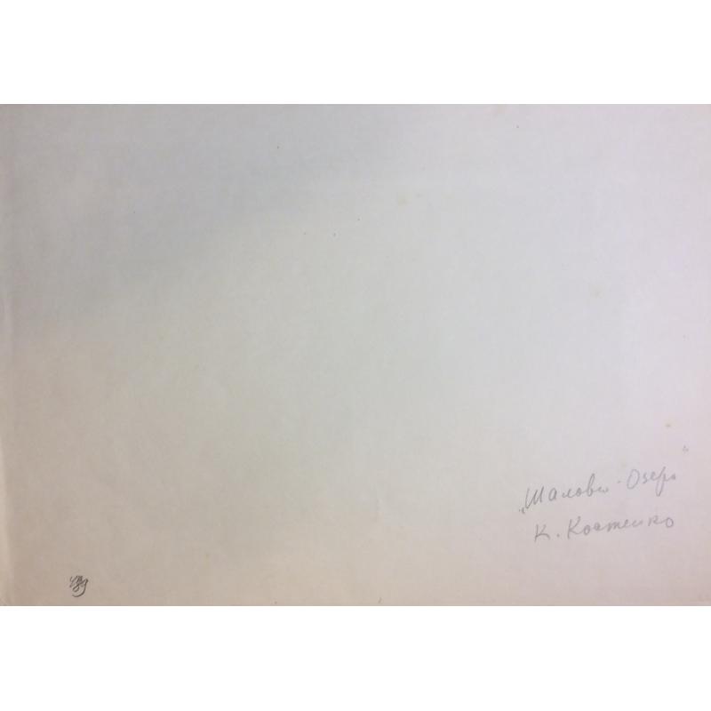 Костенко К. Е. Шалово. Озеро