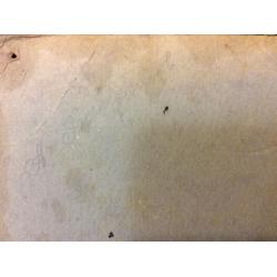 Бесперстов А.Т. Портрет пионерки