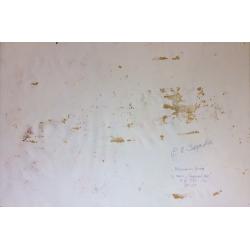 Зернова Е. С. Жасмин на даче