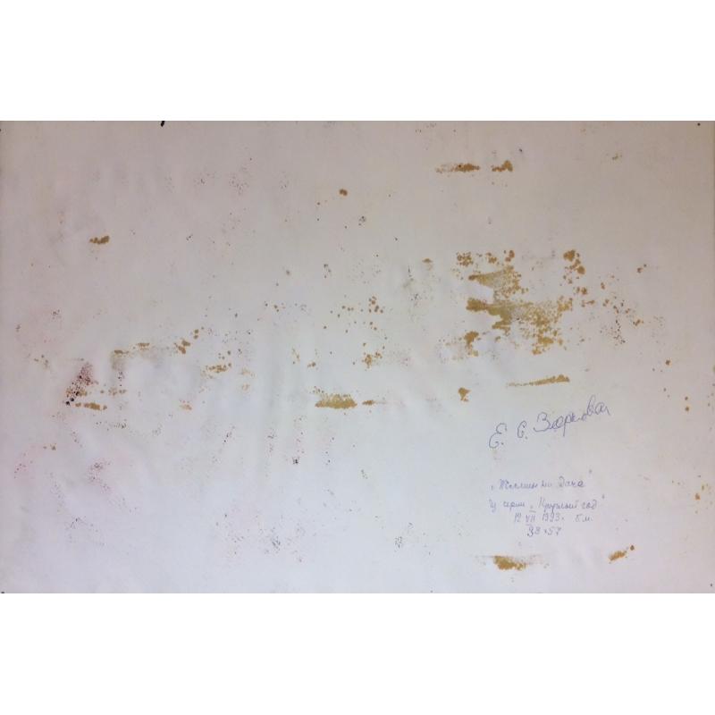 Зернова Е. С. Жасмин на даче