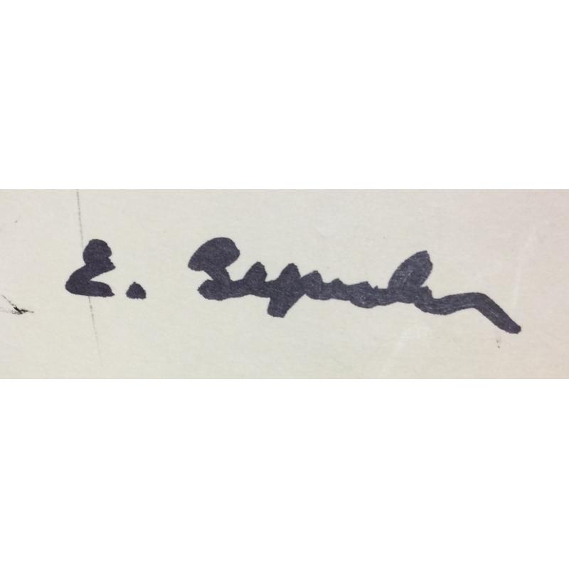 Зернова Е. С. Цветы. Этюд