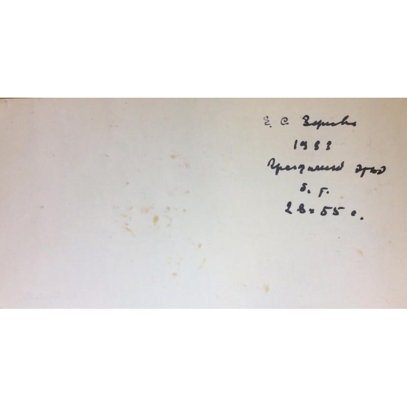 Зернова Е. С. Цветы. Этюд