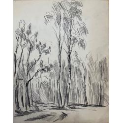 Кончаловский М.П. Берёзки