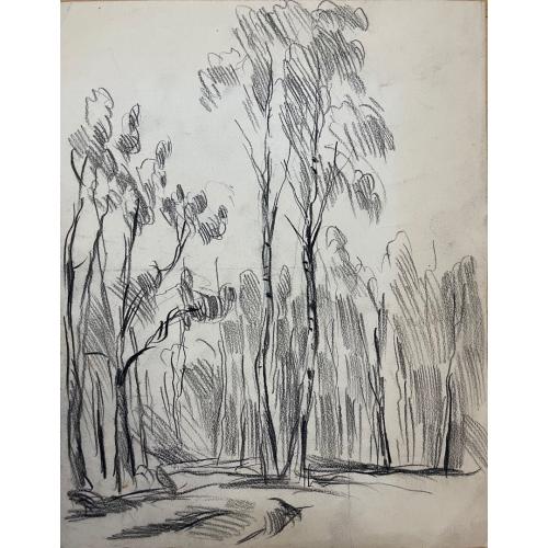 Кончаловский М.П. Берёзки