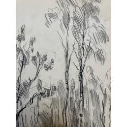 Кончаловский М.П. Берёзки