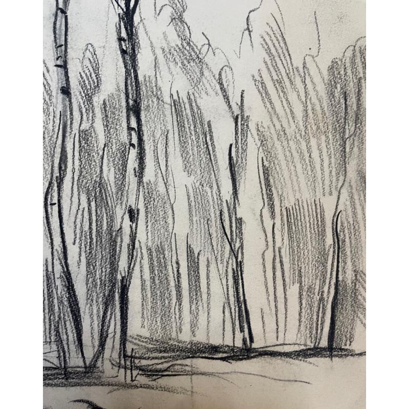 Кончаловский М.П. Берёзки