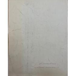 Кончаловский М.П. Берёзки