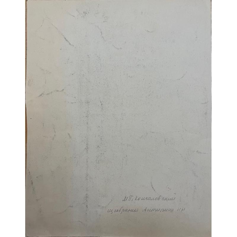 Кончаловский М.П. Берёзки