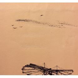 Тамби В. А. Планер О. Лилиенталя. Иллюстрация к книге Как человек научился летать