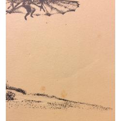 Тамби В. А. Планер О. Лилиенталя. Иллюстрация к книге Как человек научился летать