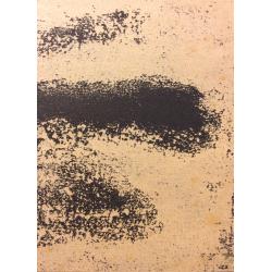 Тамби В. А. Сбитый самолет