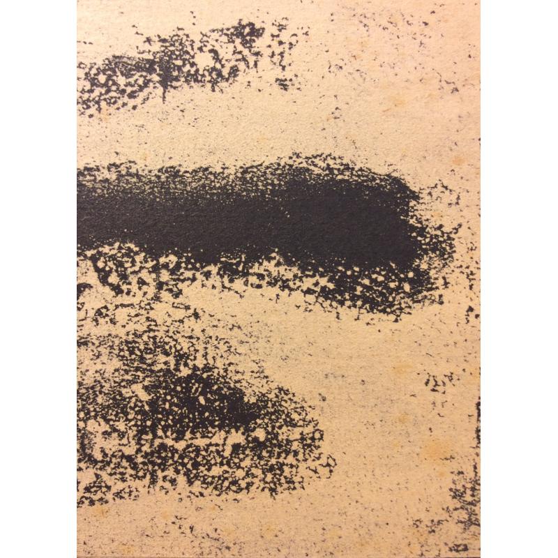 Тамби В. А. Сбитый самолет