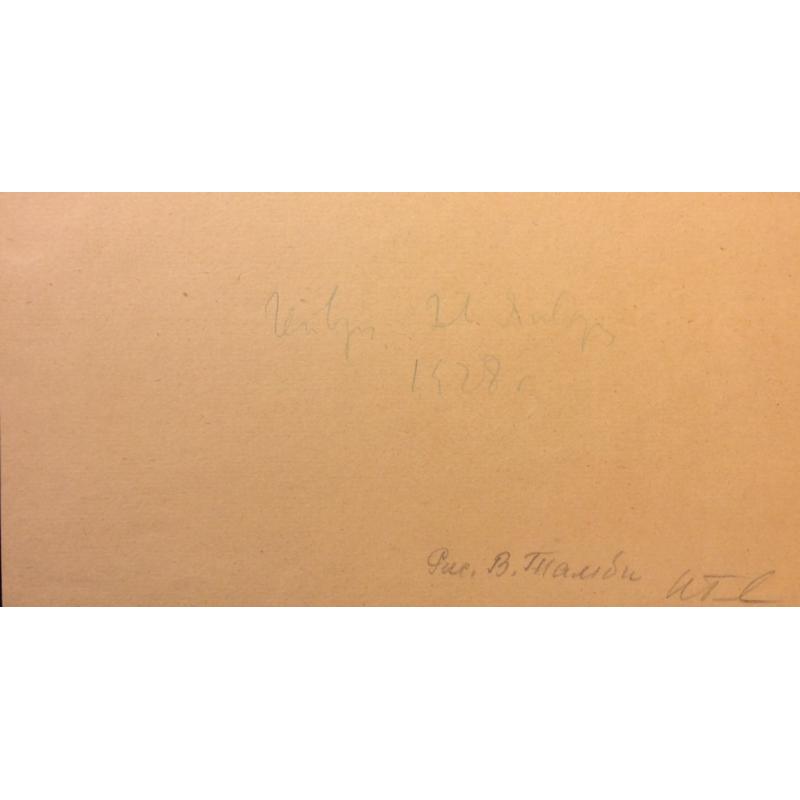 Тамби В. А. Сбитый самолет