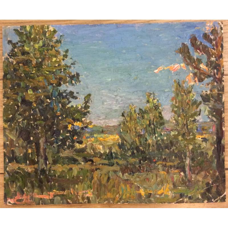 Безикович Б.Н. Ясный день