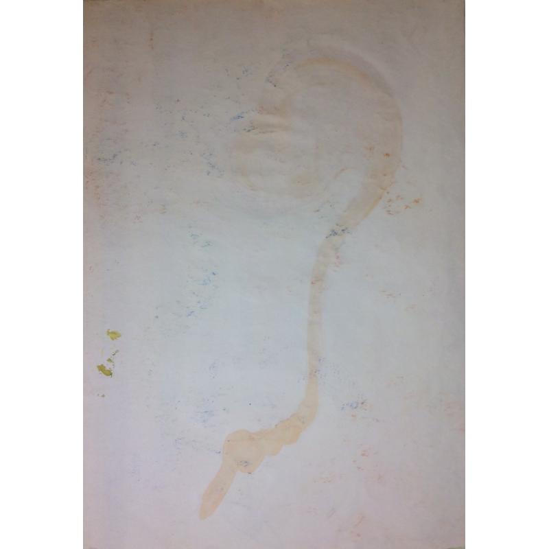 Скопов Ю. М. Женщина