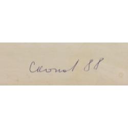 Скопов Ю. М. Фигура