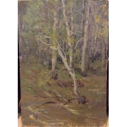 Суздальцев М.А. Вешние воды