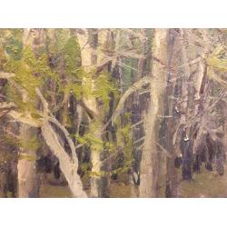 Суздальцев М.А. Вешние воды