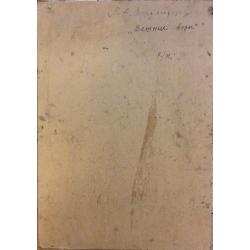 Суздальцев М.А. Вешние воды