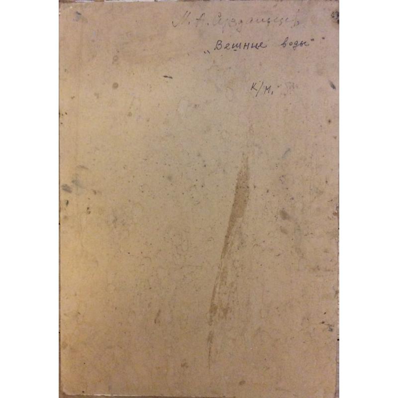 Суздальцев М.А. Вешние воды